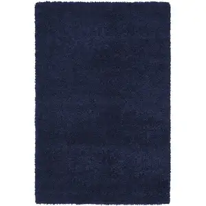 Photo of Blue Shag Area Rug