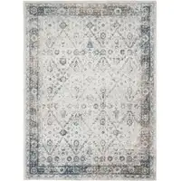 Photo of Blue and Ivory Floral Medallion Power Loom Distressed Washable Area Rug