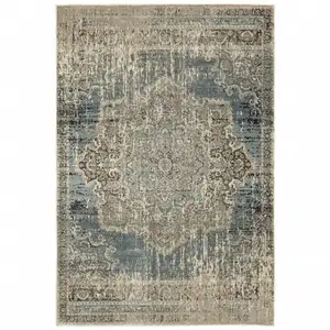 Photo of Blue and Ivory Medallion Area Rug