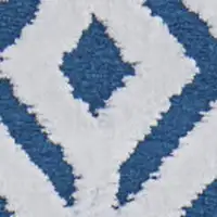 Photo of Blue and White Power Loom Area Rug