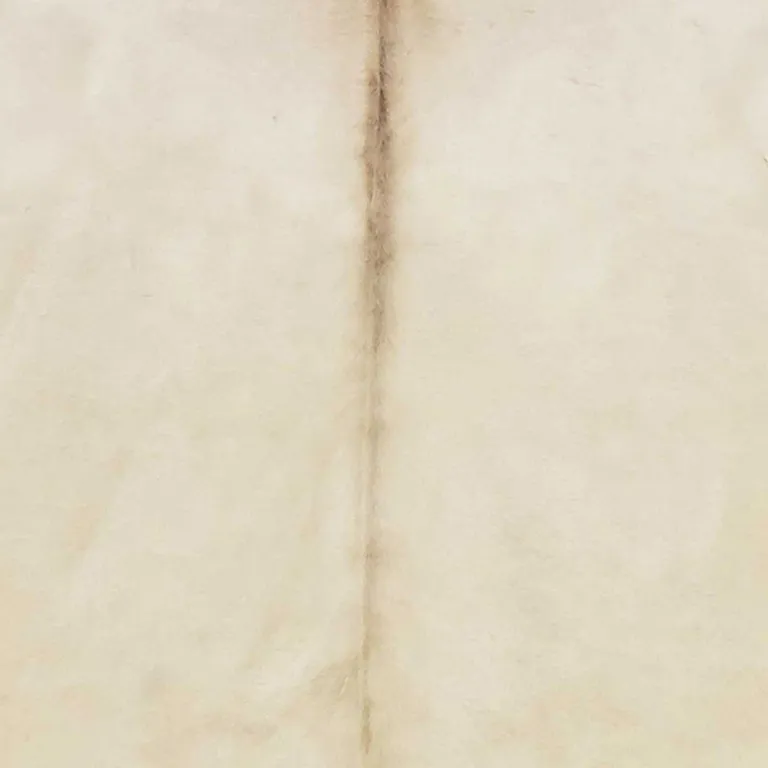 Blush Brindled Natural Cowhide Rug Photo 3