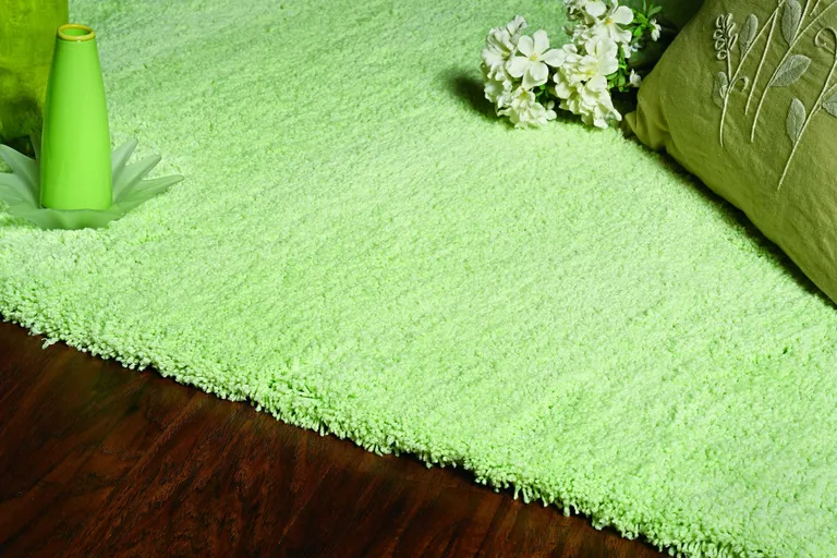 Bright Green Shag Area Rug Photo 4