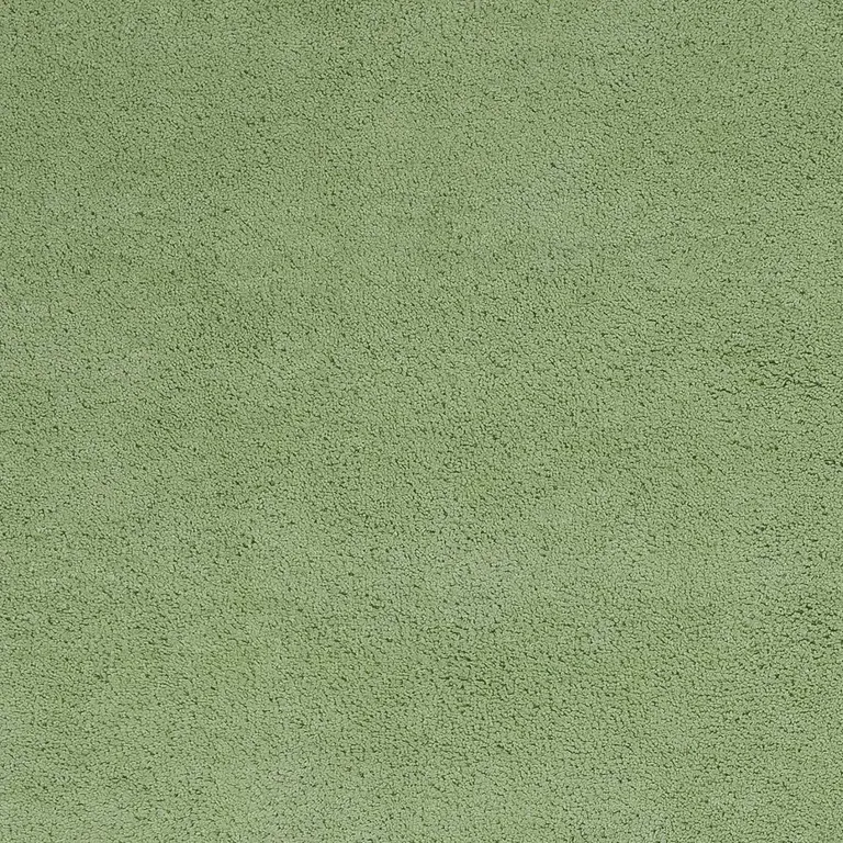 Bright Green Shag Area Rug Photo 3