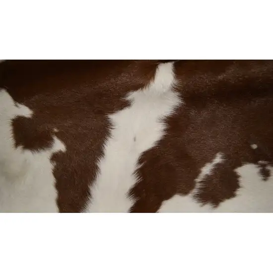 Brown And White Calfskin - Area Rug Photo 2