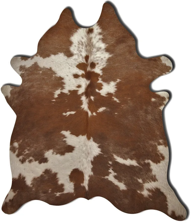 Brown And White Cowhide - Area Rug Photo 1