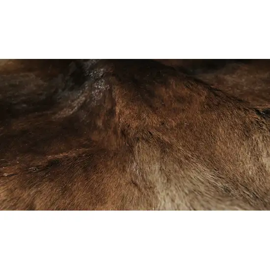 Brown Calfskin Area Rug Photo 2