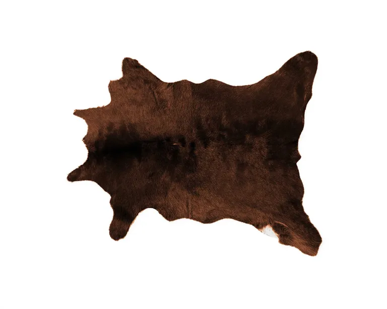 Brown Calfskin Area Rug Photo 1