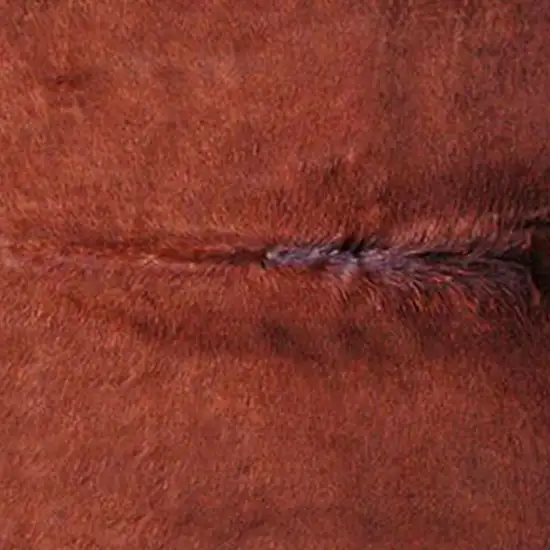 Brown Cowhide - Area Rug Photo 3