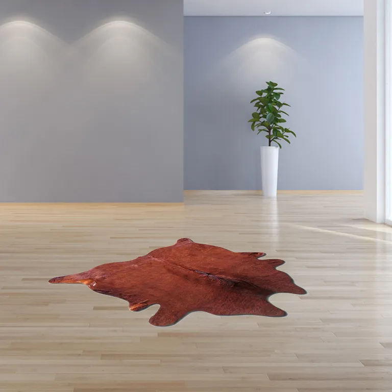 Brown Cowhide - Area Rug Photo 4