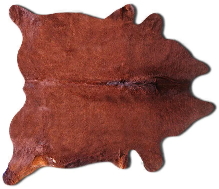 Brown Cowhide - Area Rug Photo 1