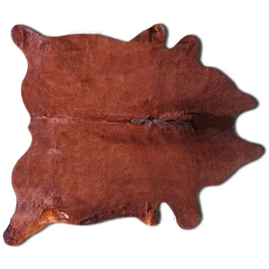 Brown Cowhide - Area Rug Photo 1