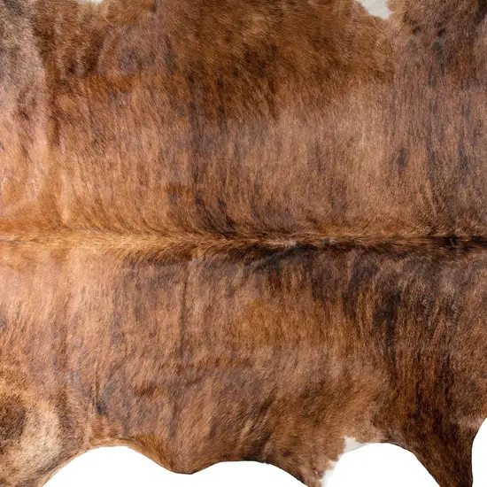 Brown Cowhide Hand Knotted Area Rug Photo 4