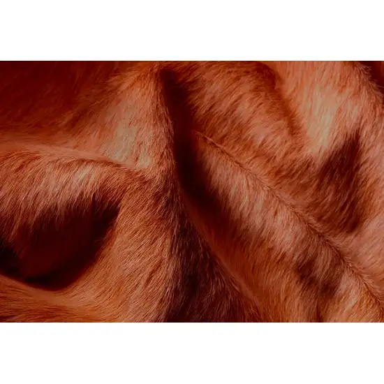 Brown Cowhide  Rug Photo 2