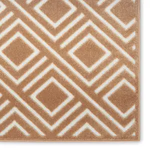 Photo of Brown Geometric Area Rug