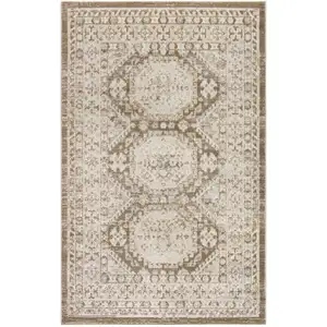 Photo of Brown Geometric Distressed Area Rug