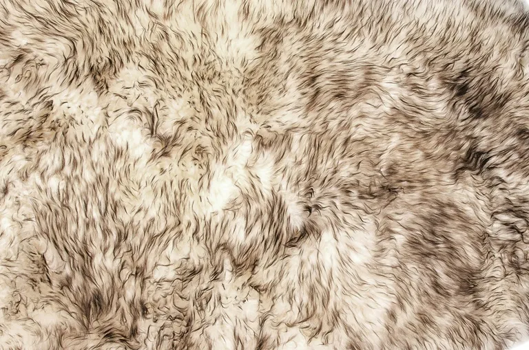 Brown Ombre Natural Sheepskin Area Rug Photo 2