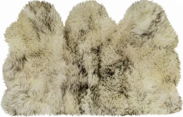 Brown Ombre Natural Sheepskin Area Rug Photo 1