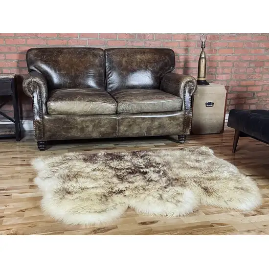 Brown Ombre Natural Sheepskin Area Rug Photo 3