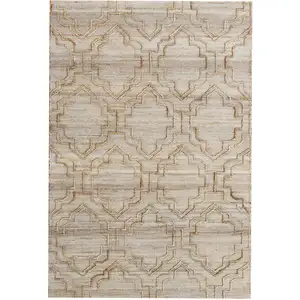 Photo of Brown Trellis Hand Woven Area Rug