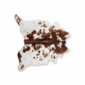 Photo of Brown White Cowhide - Rug