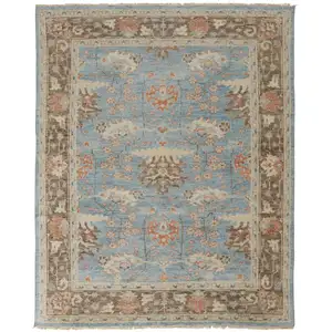 Photo of Brown and Blue Wool Oriental Hand Knotted Area Rug