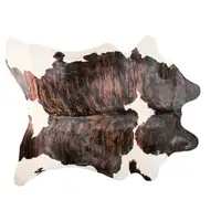 Photo of Brown and White Cowhide Hand Knotted Area Rug