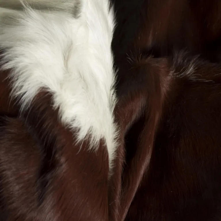 Brown and White Natural Cowhide Area Rug Photo 2