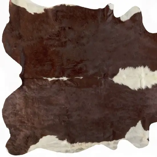 Brown and White Natural Cowhide Area Rug Photo 3