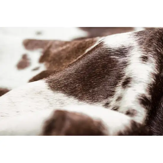 Brown and White Spotted Natural Cowhide Area Rug Photo 3