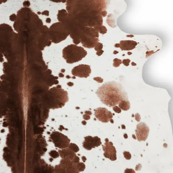 Brown And White Spotted Natural Cowhide Area Rug Photo 6