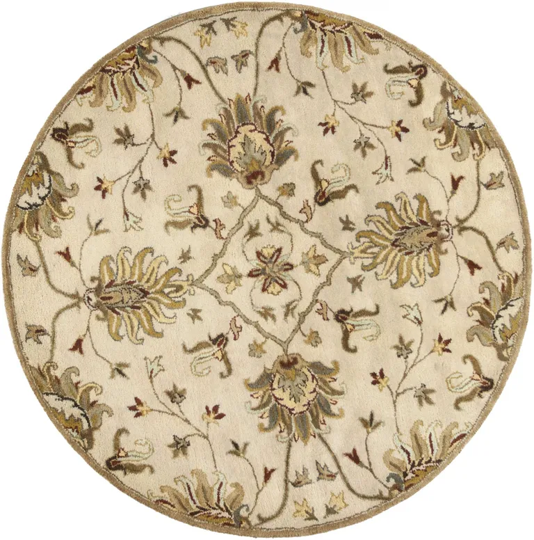 Champagne Beige Hand Tufted Traditional Floral Indoor Area Rug Photo 1