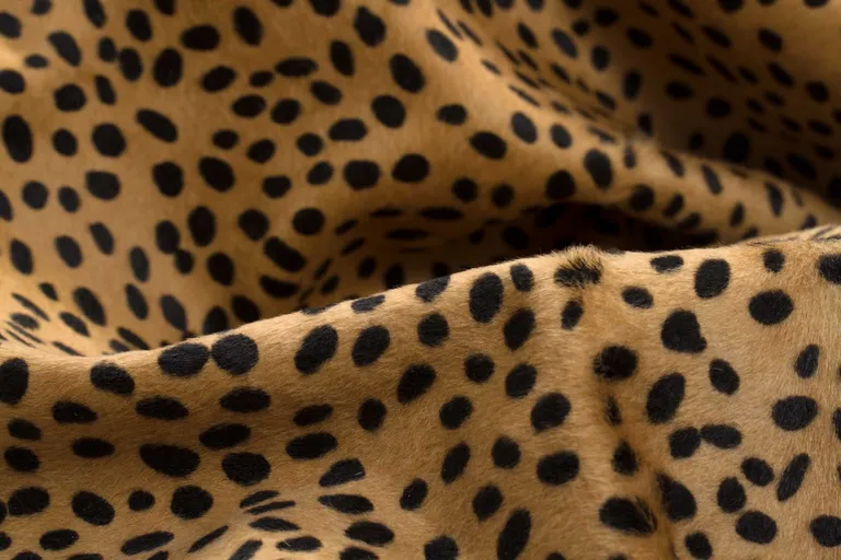 Cheetah Cowhide - Area Rug Photo 2