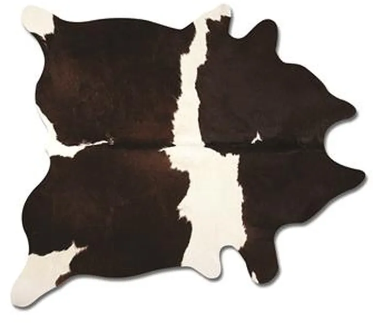 Chocolate And White Cowhide - Area Rug Photo 1