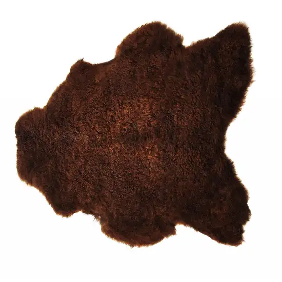 Chocolate Calfskin - Area Rug Photo 1