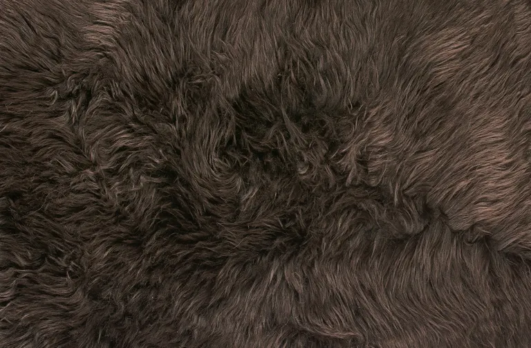 Chocolate Quattro Sheepskin Area Rug Photo 2