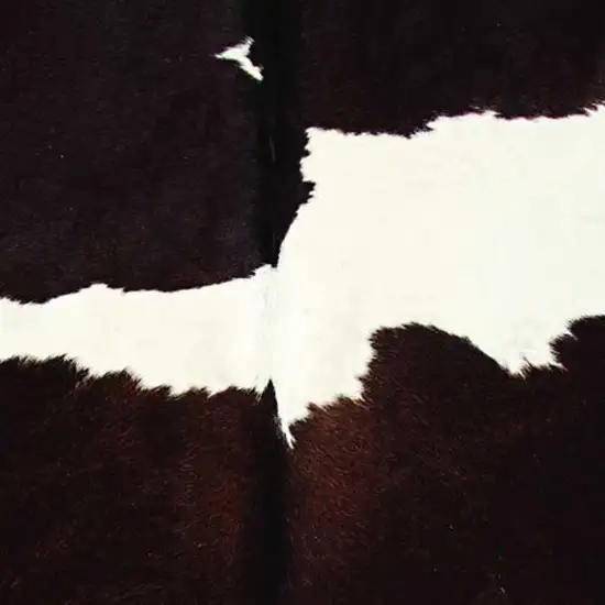 Chocolate and White Cowhide - Rug Photo 3