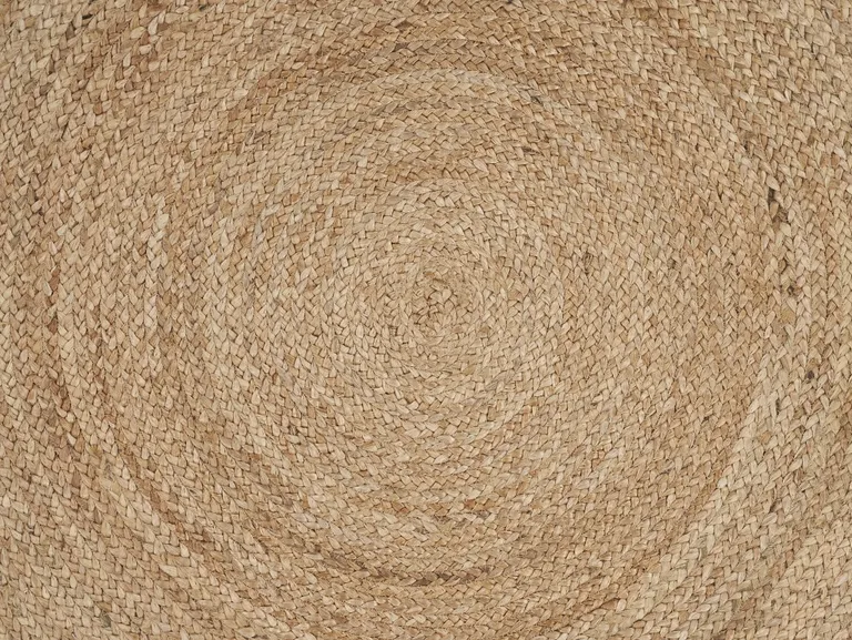 Classic Simple Natural Jute Area Rug Photo 2