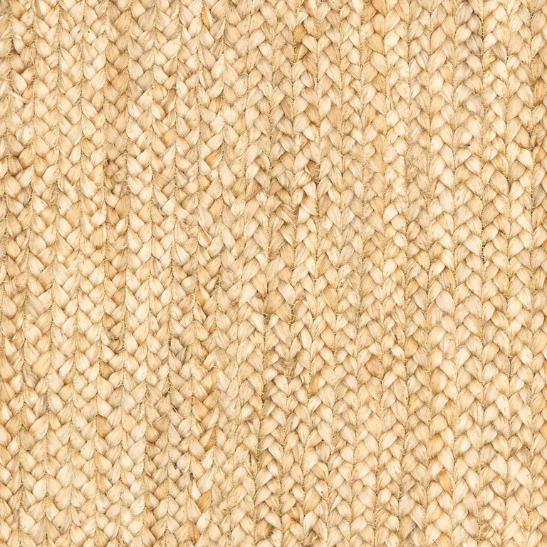 Classic Tan Bordered Area Rug Photo 3