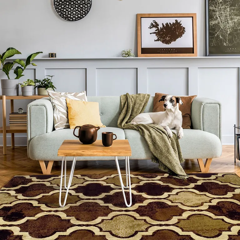 Coffee Quatrefoil Power Loom Distressed Stain Resistant Area Rug Photo 5