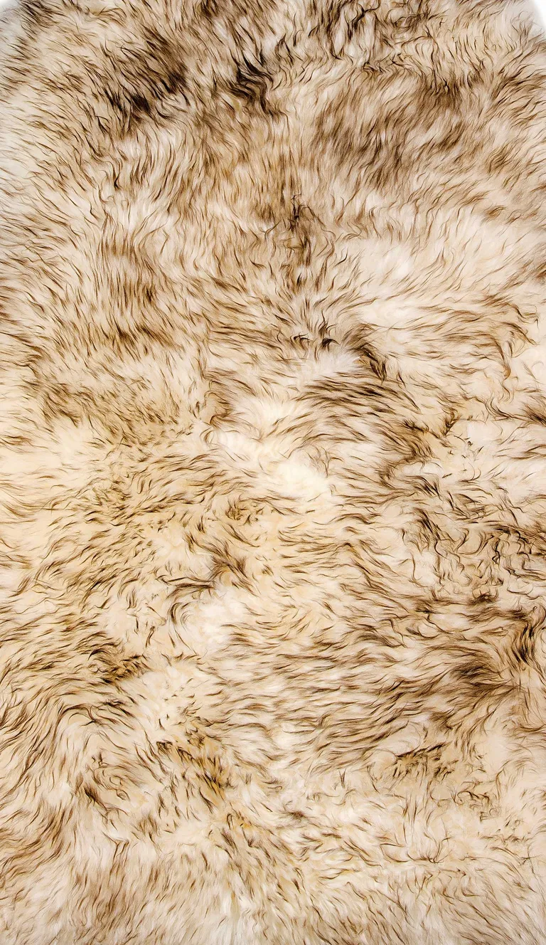 Dark Cream New Zealand Natural Sheepskin Rug Photo 1