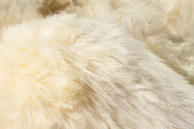 Gold Sheepskin Area Rug Photo 2