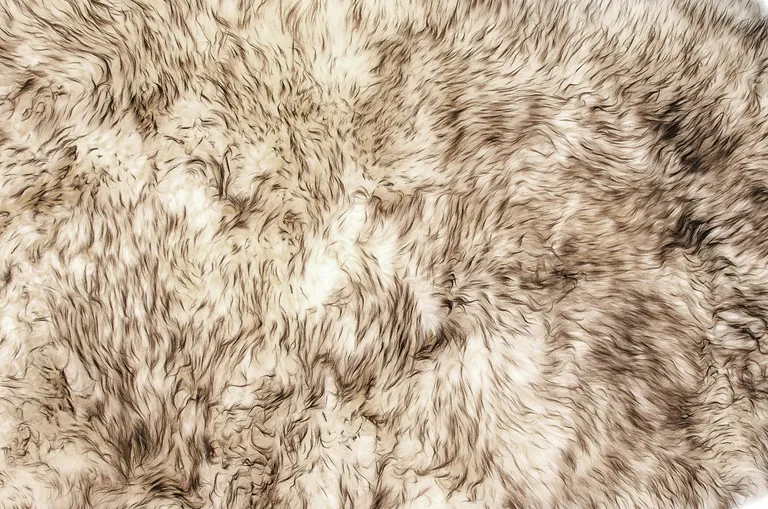 Gradient Chocolate Double Sheepskin - Area Rug Photo 2