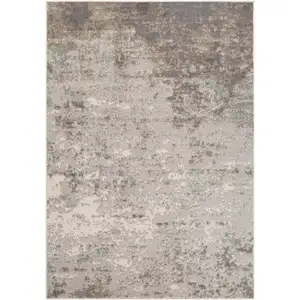 Photo of Gray Abstract Power Loom Area Rug