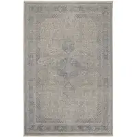 Photo of Gray Blue and Taupe Oriental Power Loom Worn Faded Area Rug With Fringe