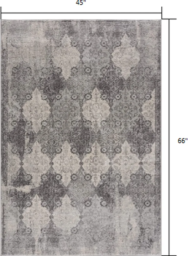 Gray Distressed Trellis Pattern Area Rug Photo 1