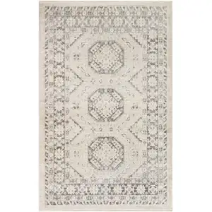 Photo of Gray Geometric Distressed Area Rug