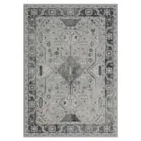 Photo of Gray Medallion Area Rug