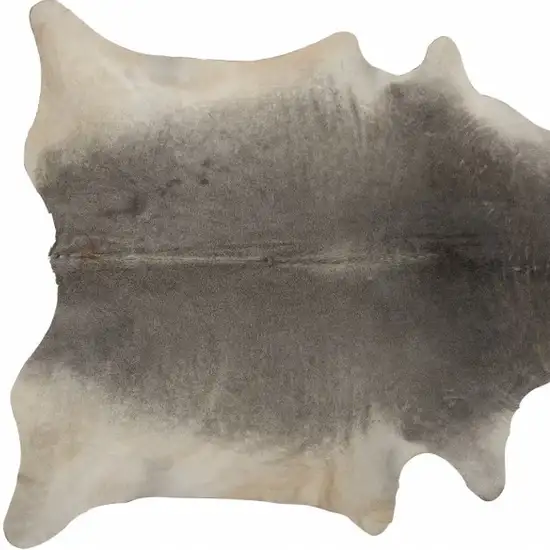 Gray Natural Cowhide Area Rug Photo 4