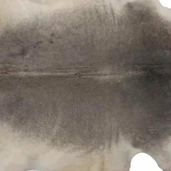 Gray Natural Cowhide Area Rug Photo 3