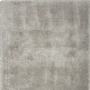 Photo of Gray Shag Area Rug